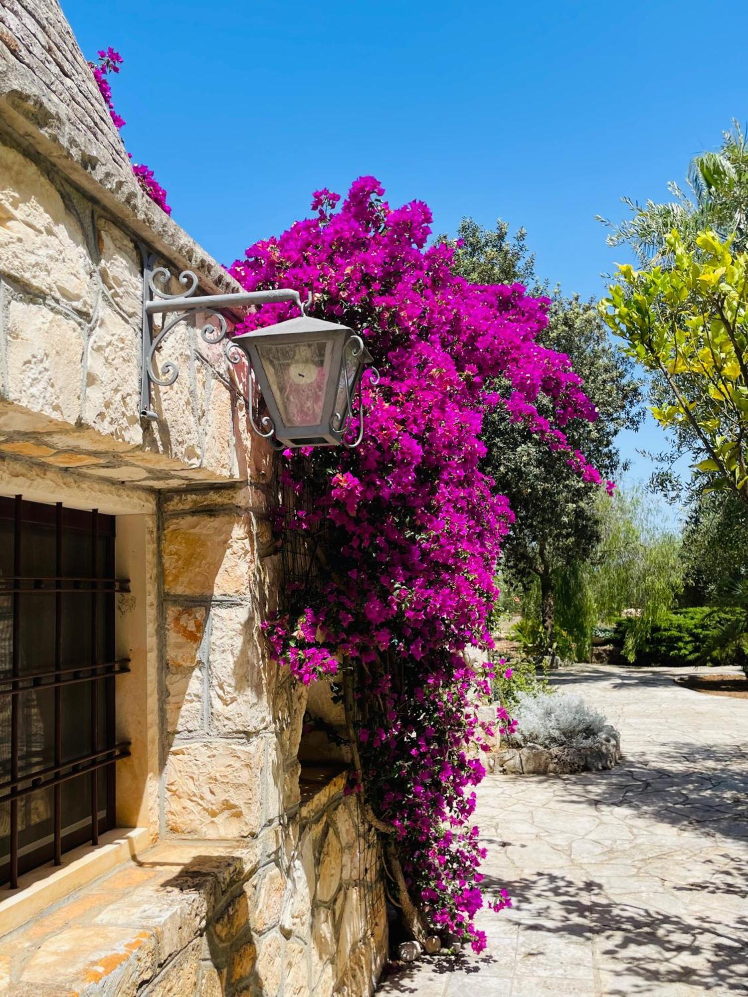 Holiday home Trullo Fernando