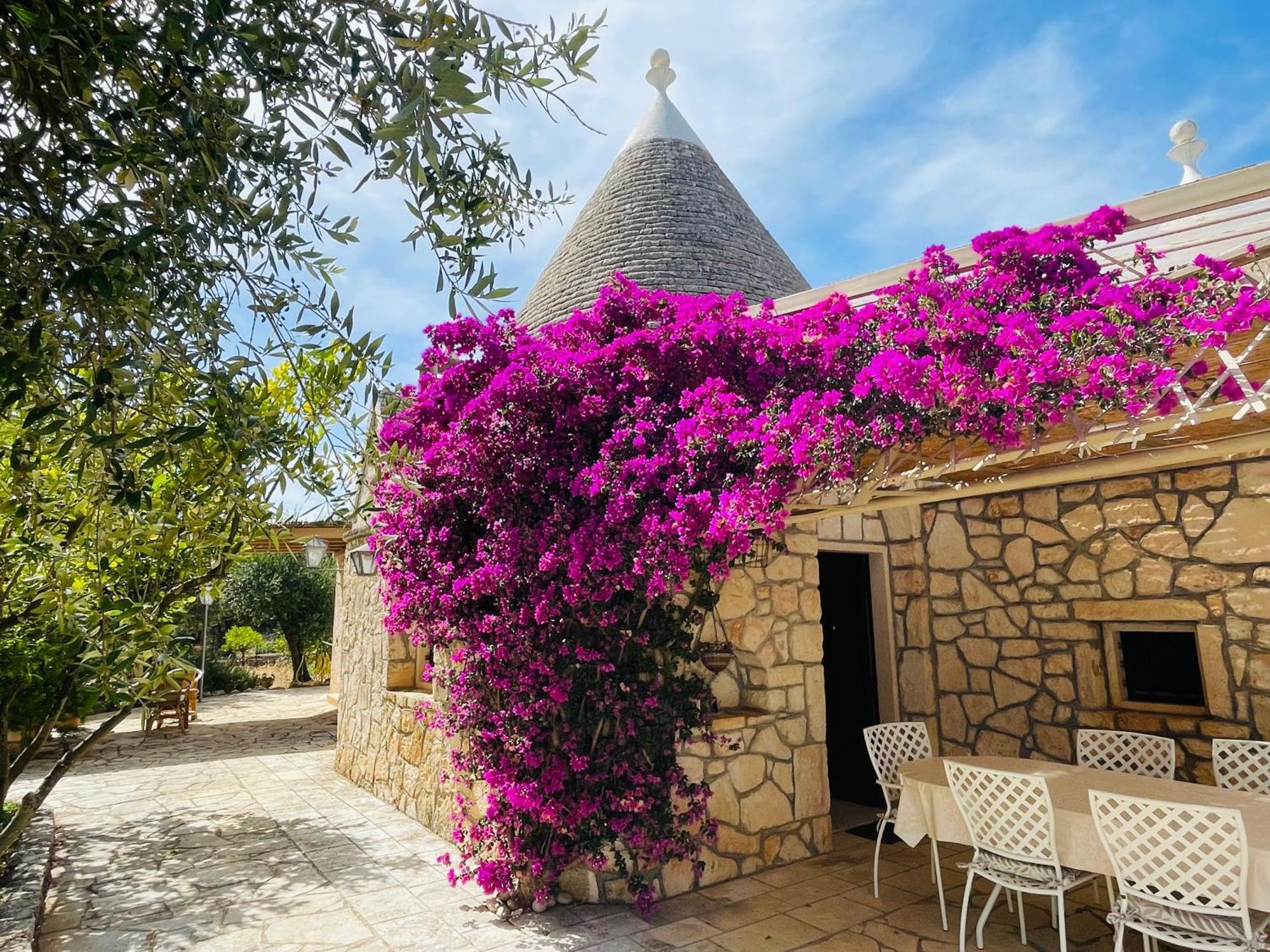 Trullo Fernando *