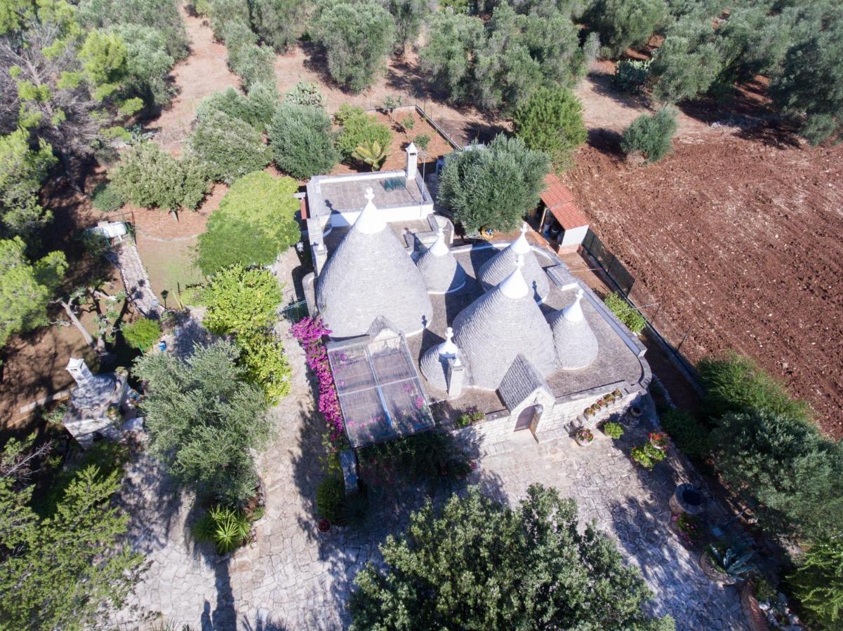 Trullo Fernando Holiday home