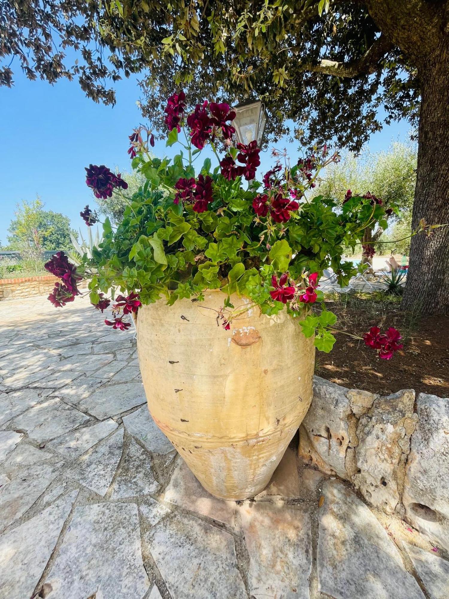 Trullo Fernando Holiday home *
